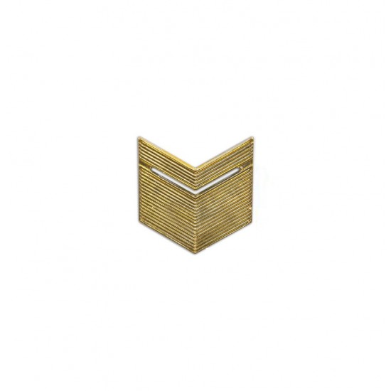 Знак различия старшина (золото)